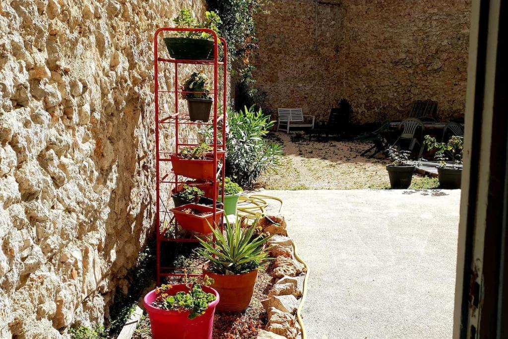 Le Loft Cosy - Centre Ville - Cadre Royal Sète Eksteriør bilde