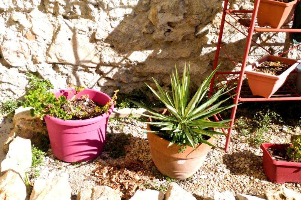 Le Loft Cosy - Centre Ville - Cadre Royal Sète Eksteriør bilde